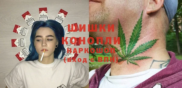 прущие грибы Арсеньев