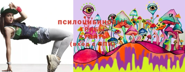 прущие грибы Арсеньев