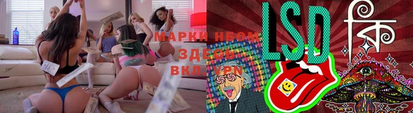 прущие грибы Арсеньев