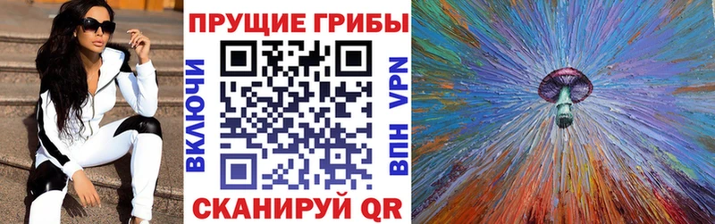 закладки  Приморско-Ахтарск  Галлюциногенные грибы Cubensis 